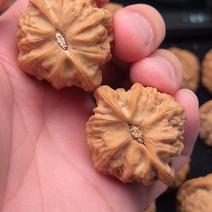 灵***克把件文玩核桃山一代原生态佛肚 精品 漏