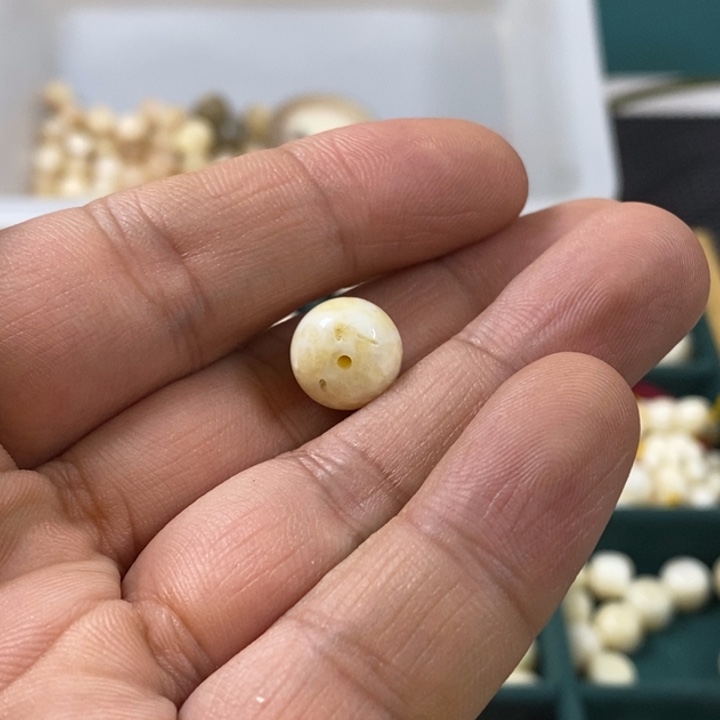 大叶紫檀（黑酸枝木类）