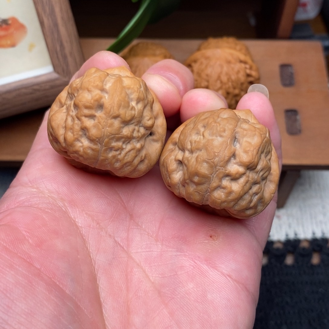 文玩核桃吊坠古蝉34