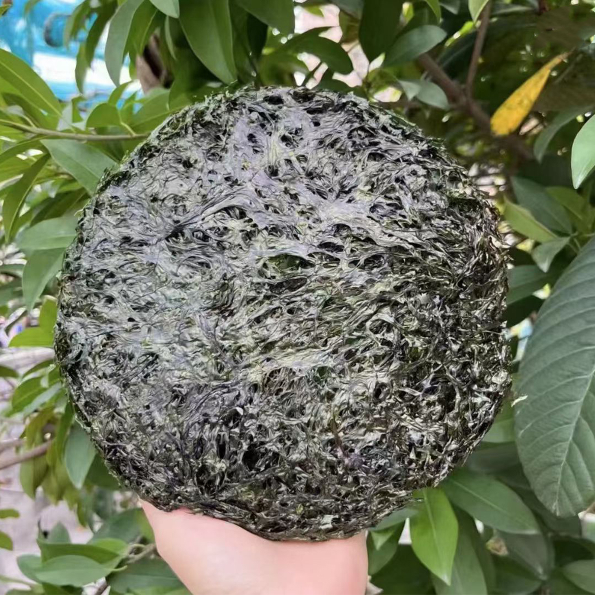 【头水烤绿紫菜】精选品质 干货