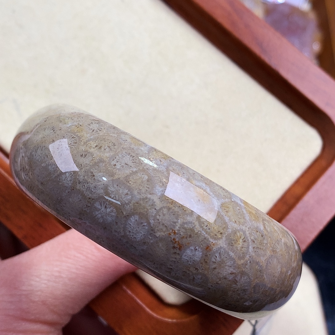 硅化珊瑚（珊瑚玉）未镶嵌33号56.9圈