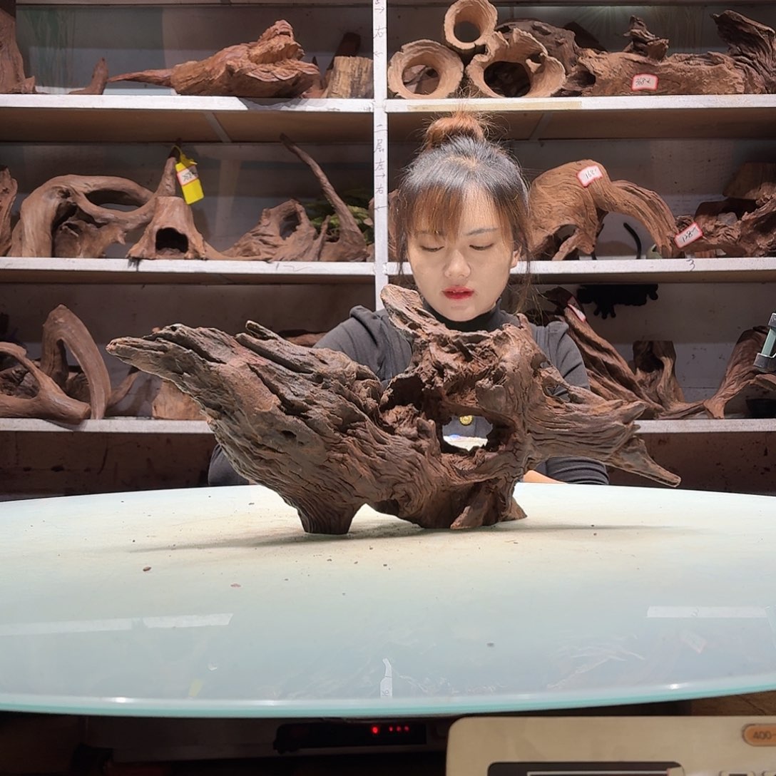 倍诸沉木不包损，必黄水武***烫0323