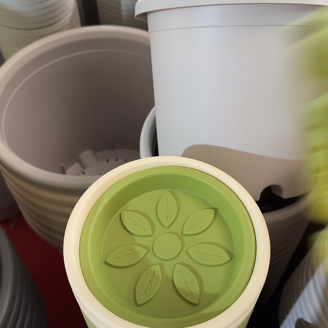 树脂1号带托10个果绿