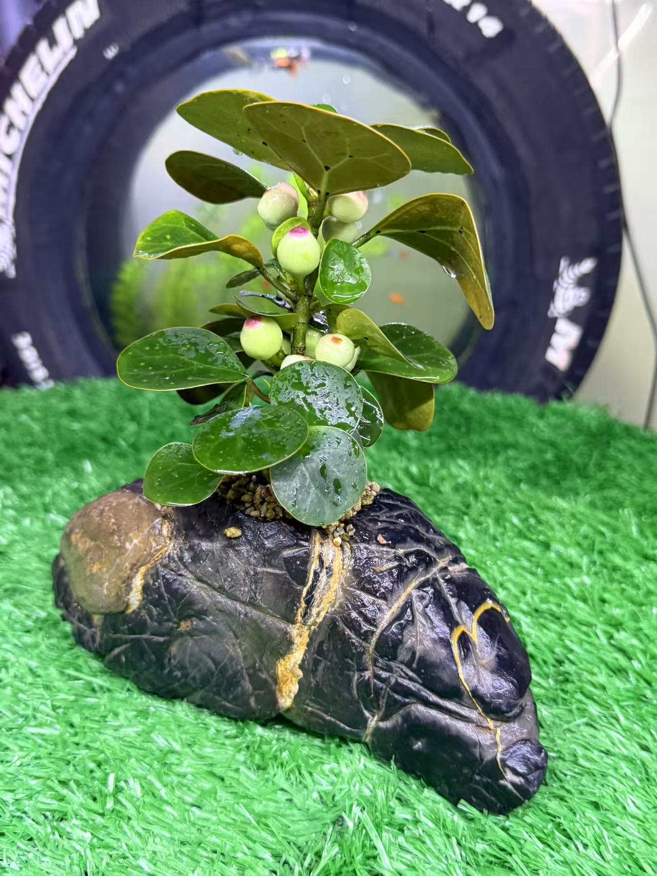 灵璧奇石、花盆、鱼盆、龟盆、烟灰缸。。。。。