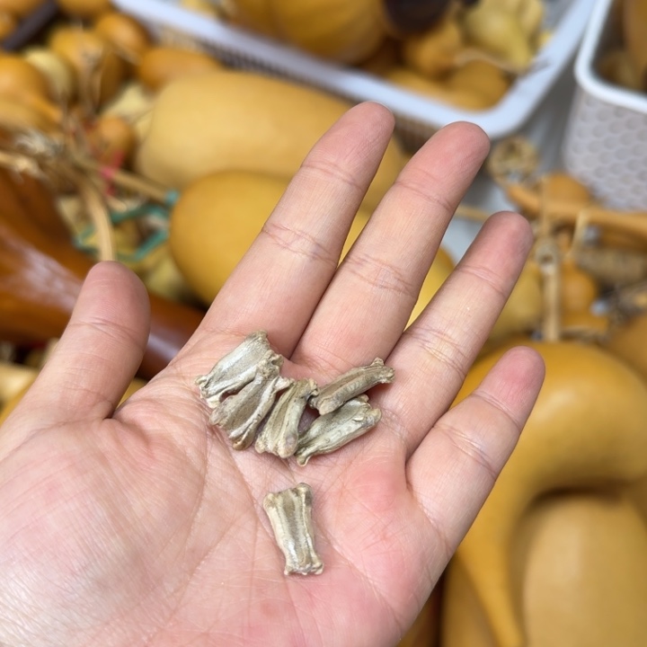 上****竹类大八宝种子葫芦