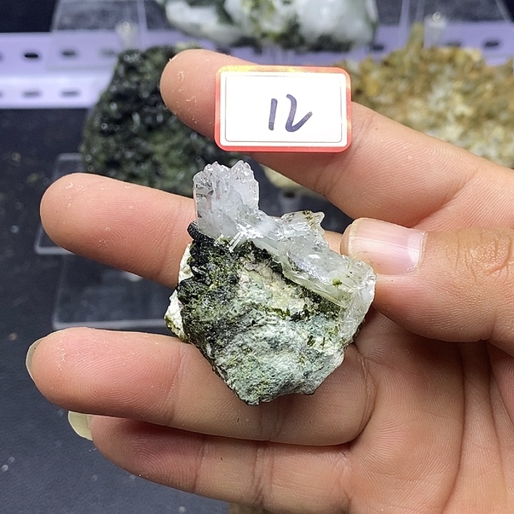 有机玻璃巴基斯坦绿莲水晶共生12