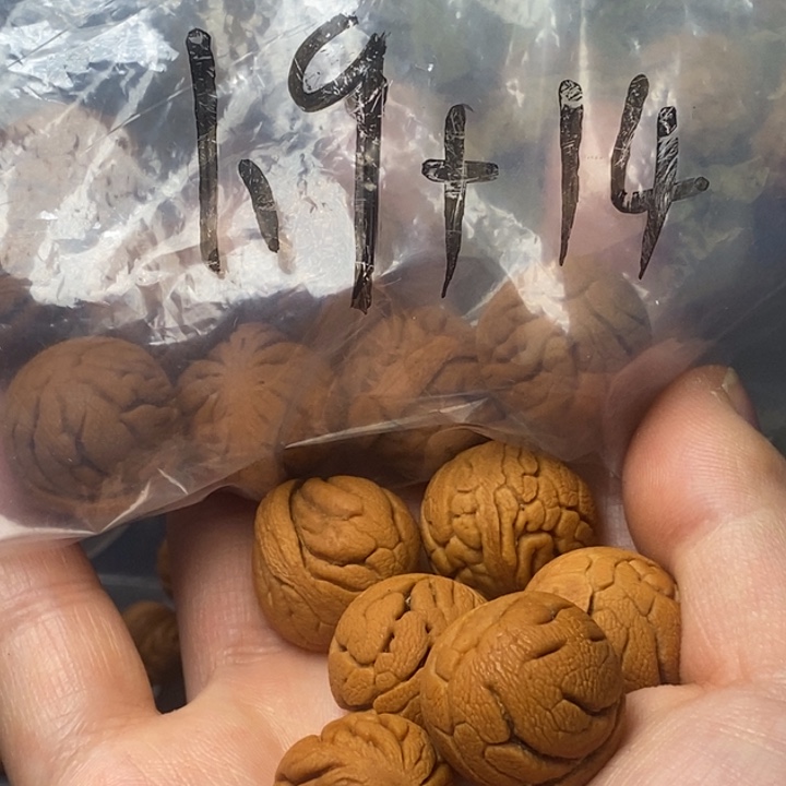 桃核吊坠秦岭山野生桃核