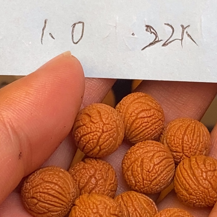 吊坠桃核秦岭龙纹桃核22