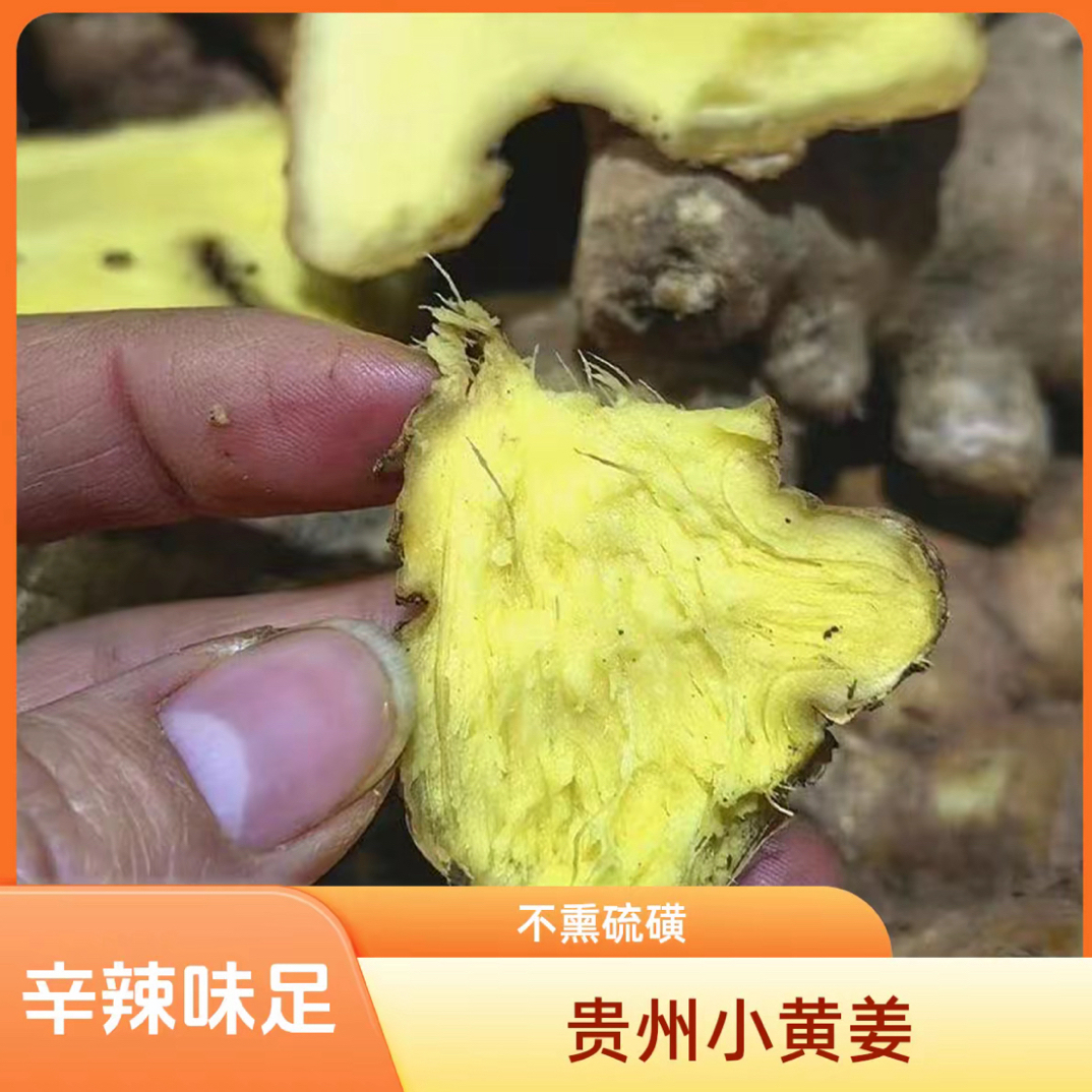 贵州小黄姜山地种植【老母姜】香味浓郁辛辣够味产地直销生姜新鲜姜