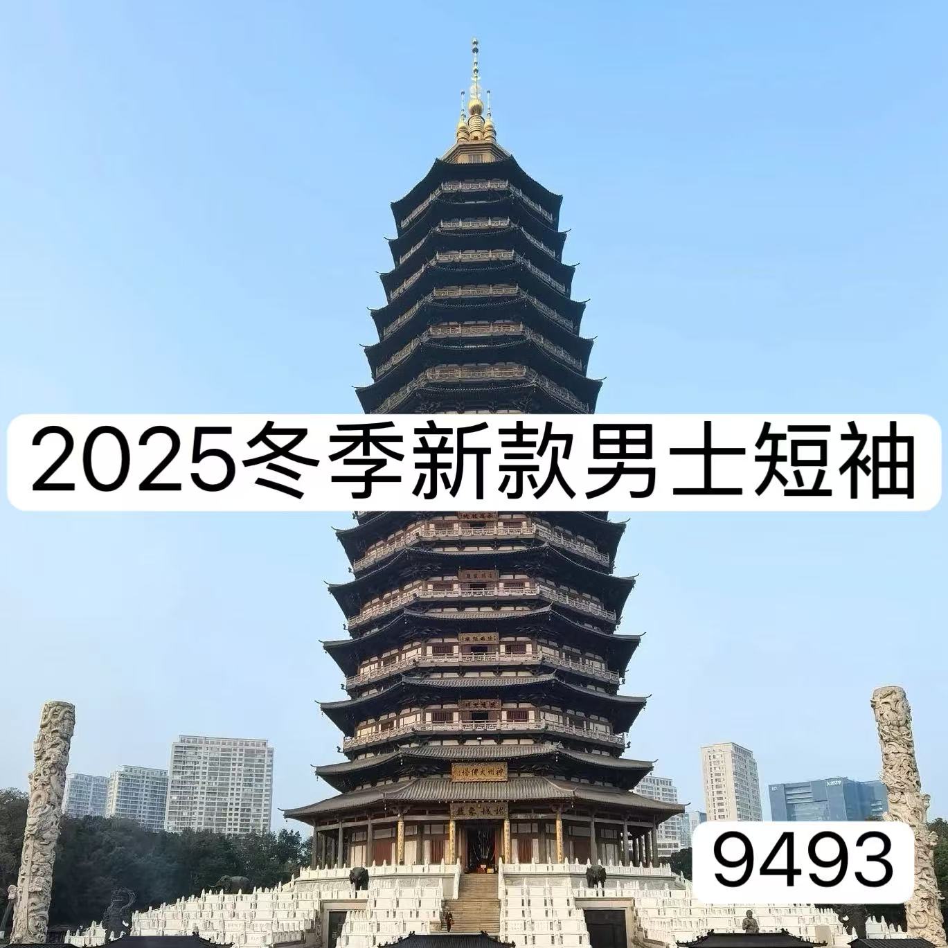 Clay cardin【FQ】9493-冬季新款男士短袖百搭T恤 12-29B【BIBAO】