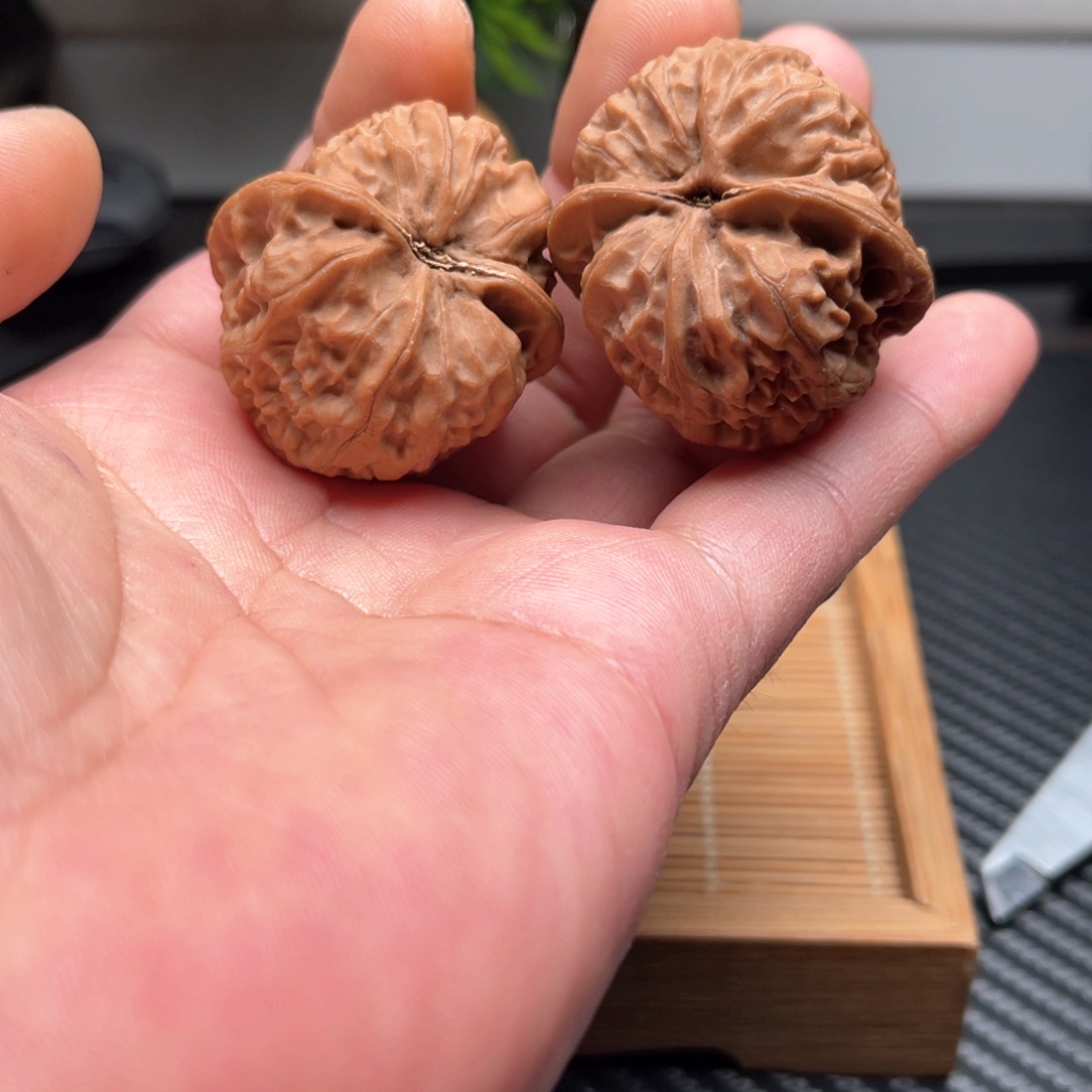 文玩核桃吊坠35太行元宝野生