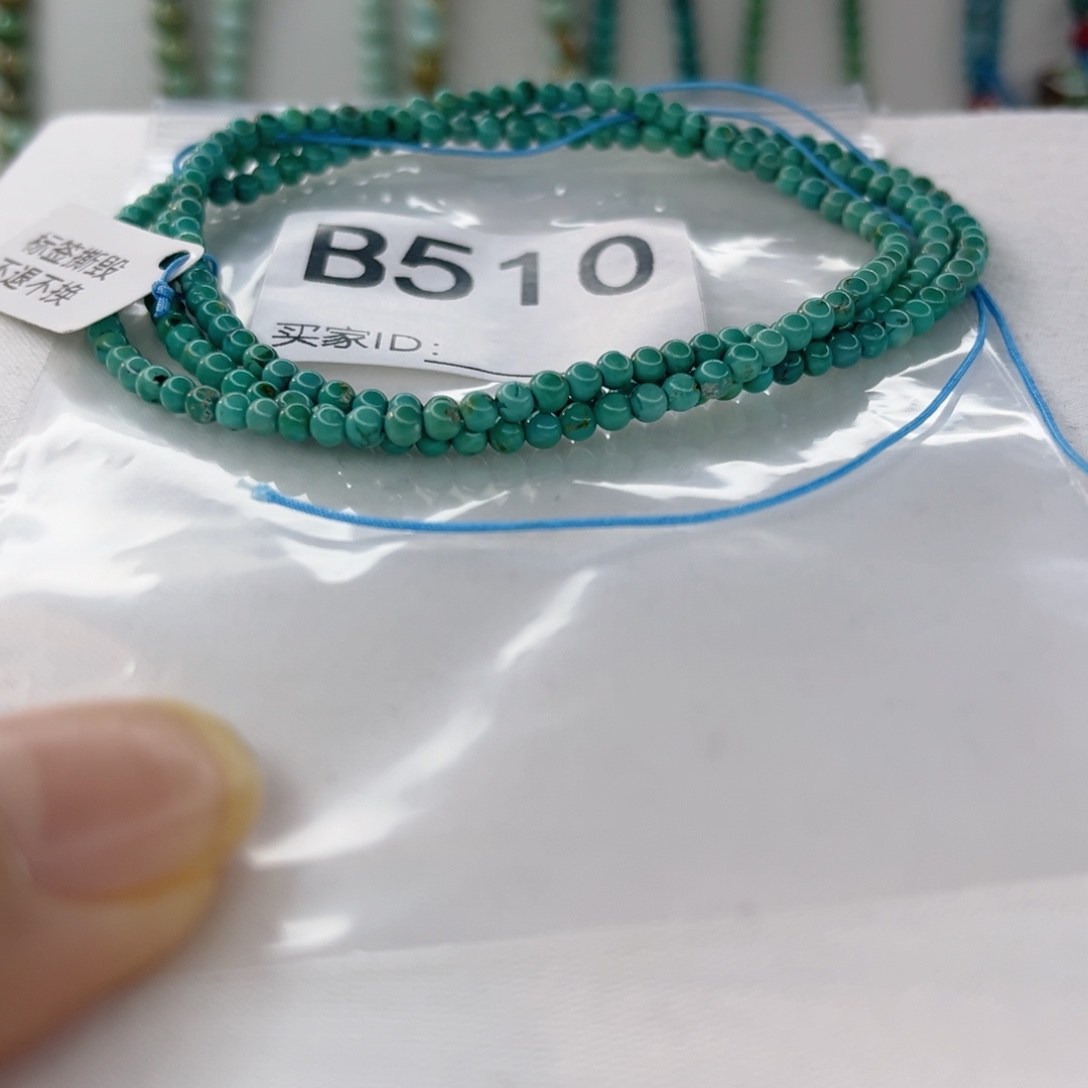 绿松石未镶嵌颈饰3.1