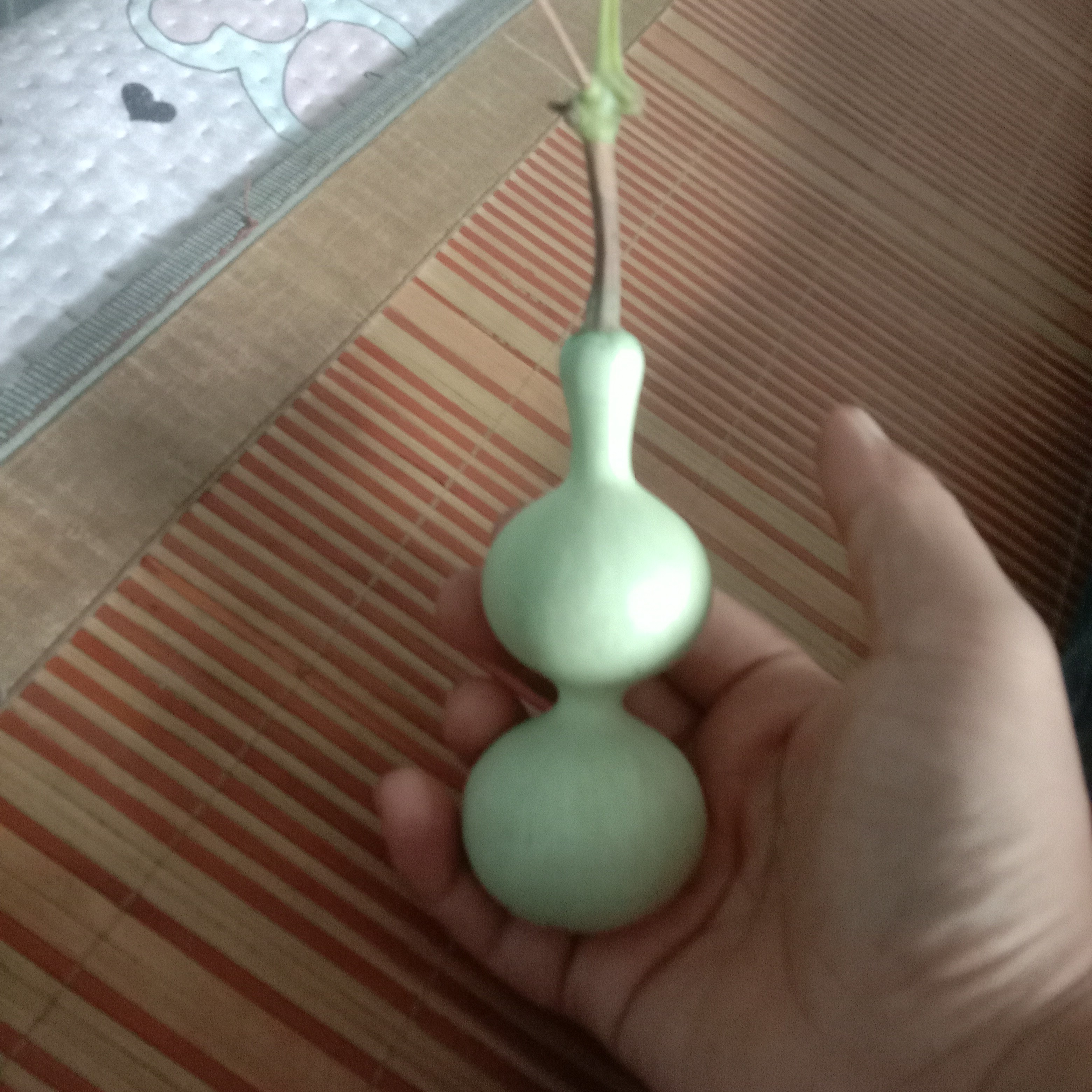 全美超模双扁肚葫芦