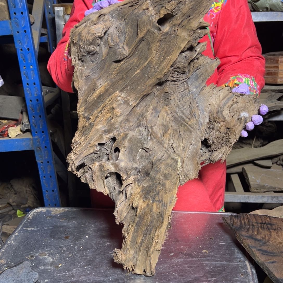 用***声金丝楠2222222222222222222