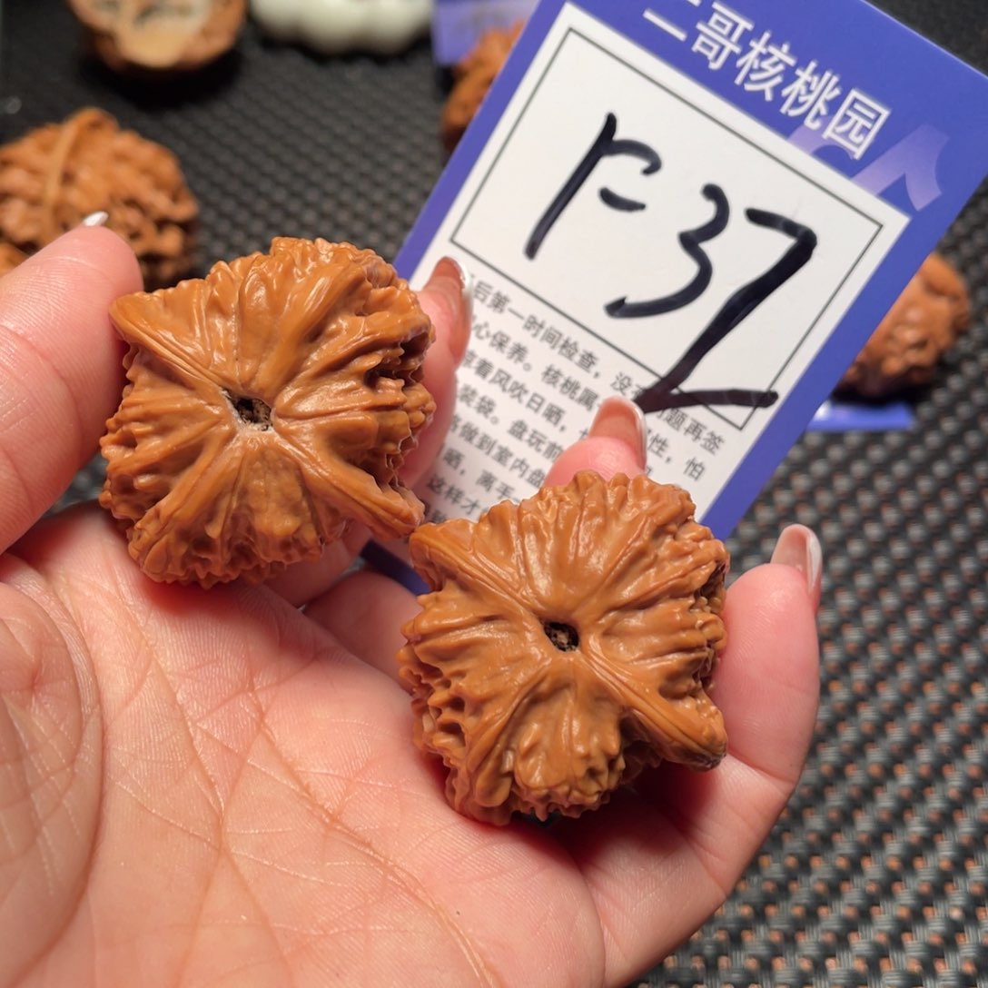 文玩核桃把件32号红狮子39