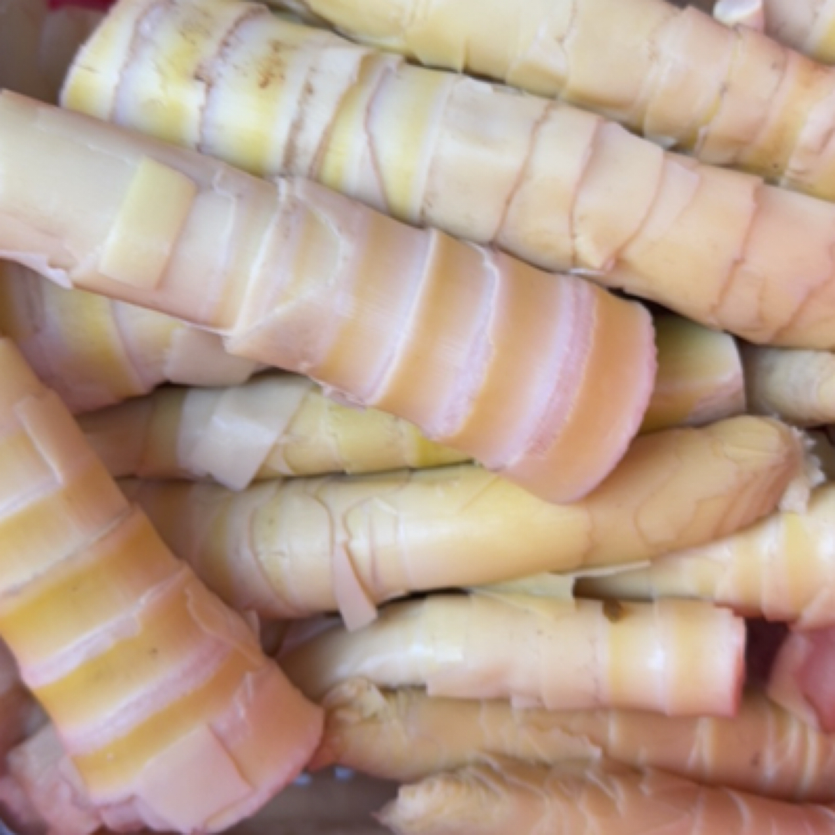 农村赶集新鲜竹笋炒水的