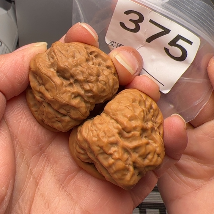 核桃四开背三角蛙饼375号