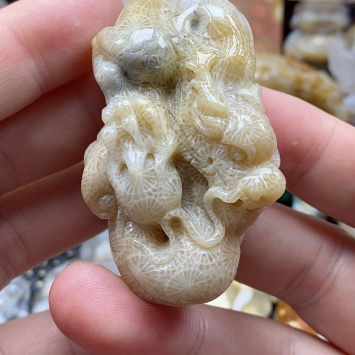 硅化珊瑚（珊瑚玉）颈饰未镶嵌