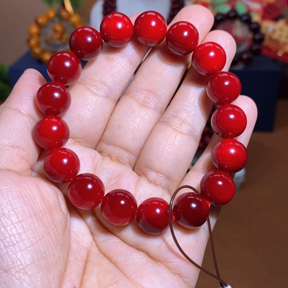 贝壳杉帝王血龙木1.2