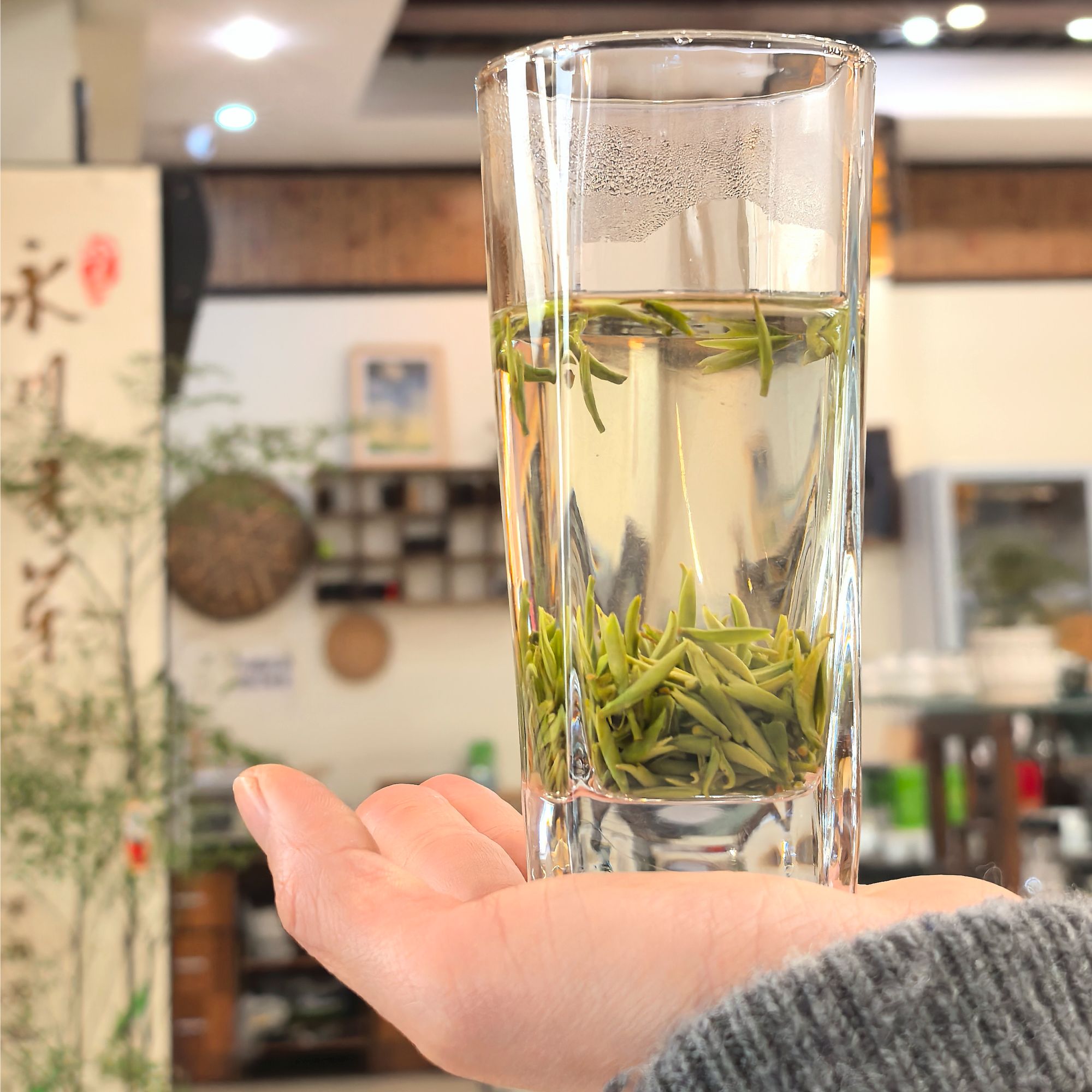 一哲品牌永川秀芽2025新茶高山绿茶魁芽3号