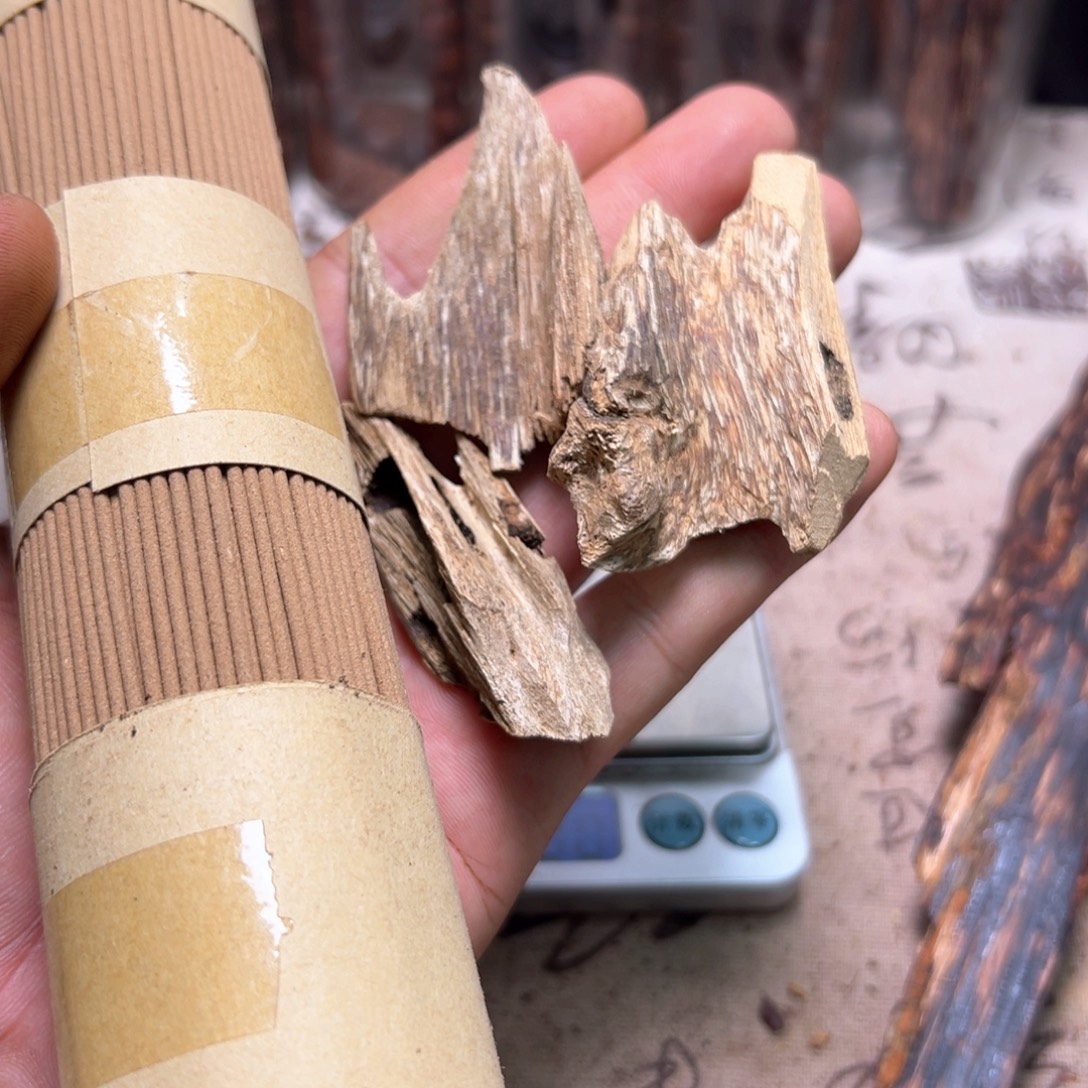 叼***腐香榧木海南大山虫漏11.6克