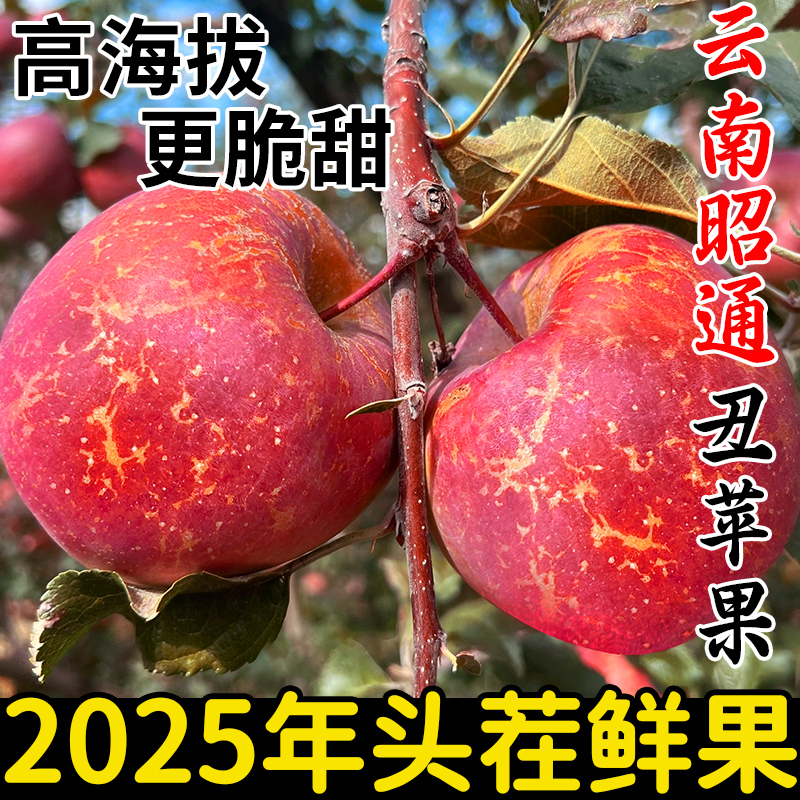 2025头茬云南昭通丑苹果新鲜水果自然熟现摘现发脆甜多汁高山果