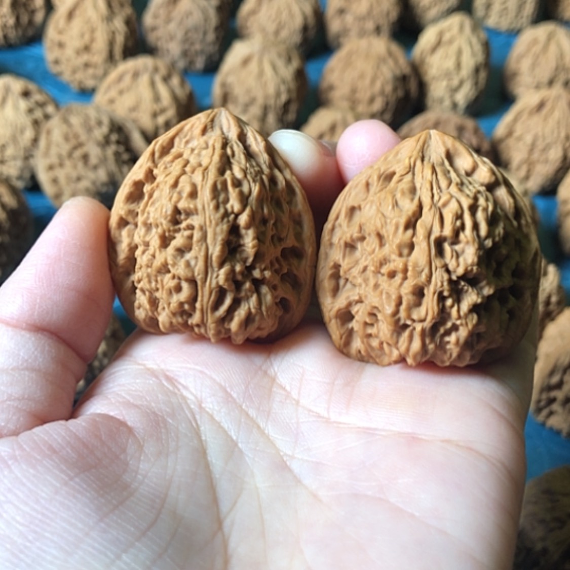 【闪购商品】文玩核桃把件突*了一大将