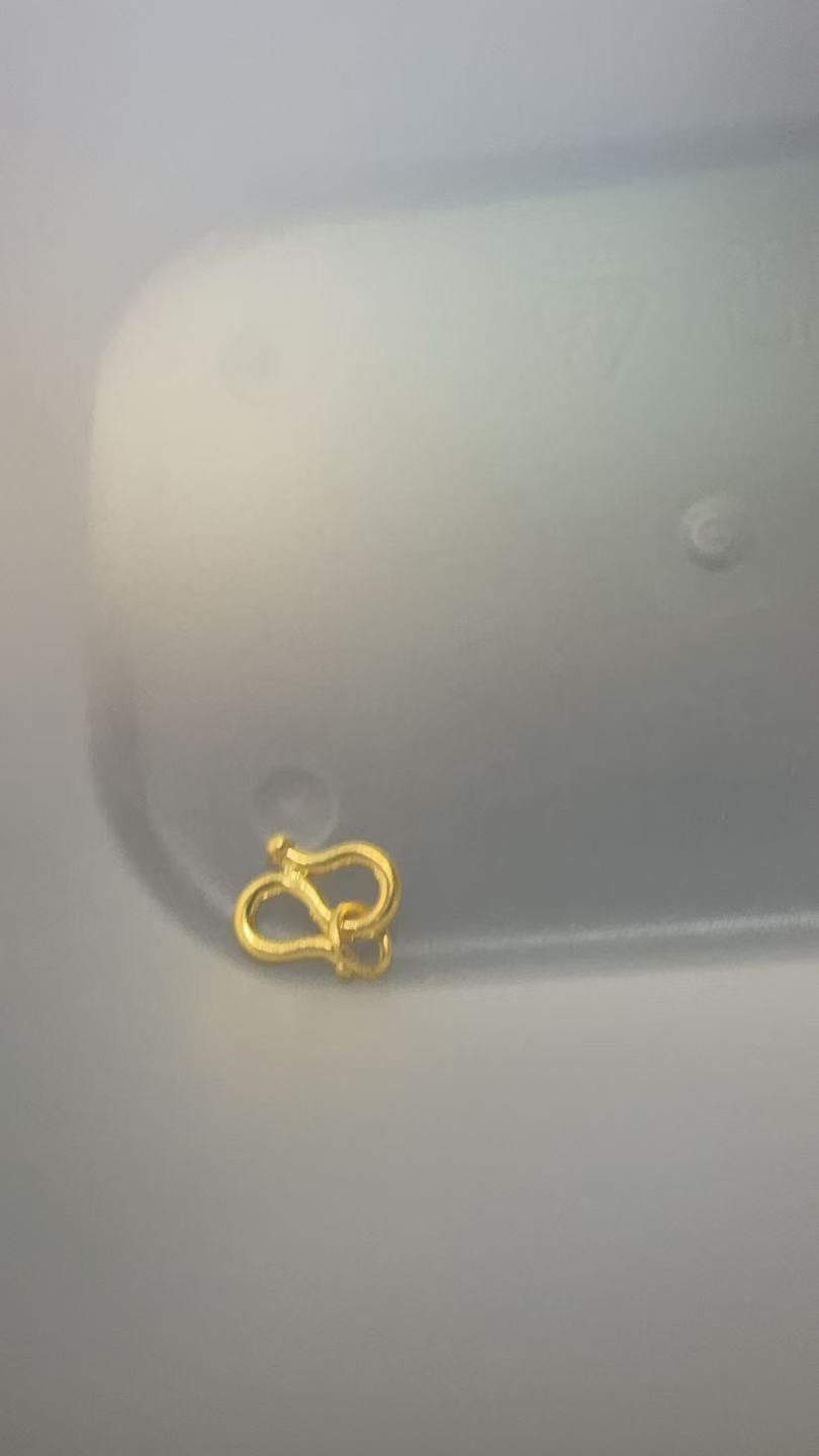 足金饰品0.964克（DIY定制款）