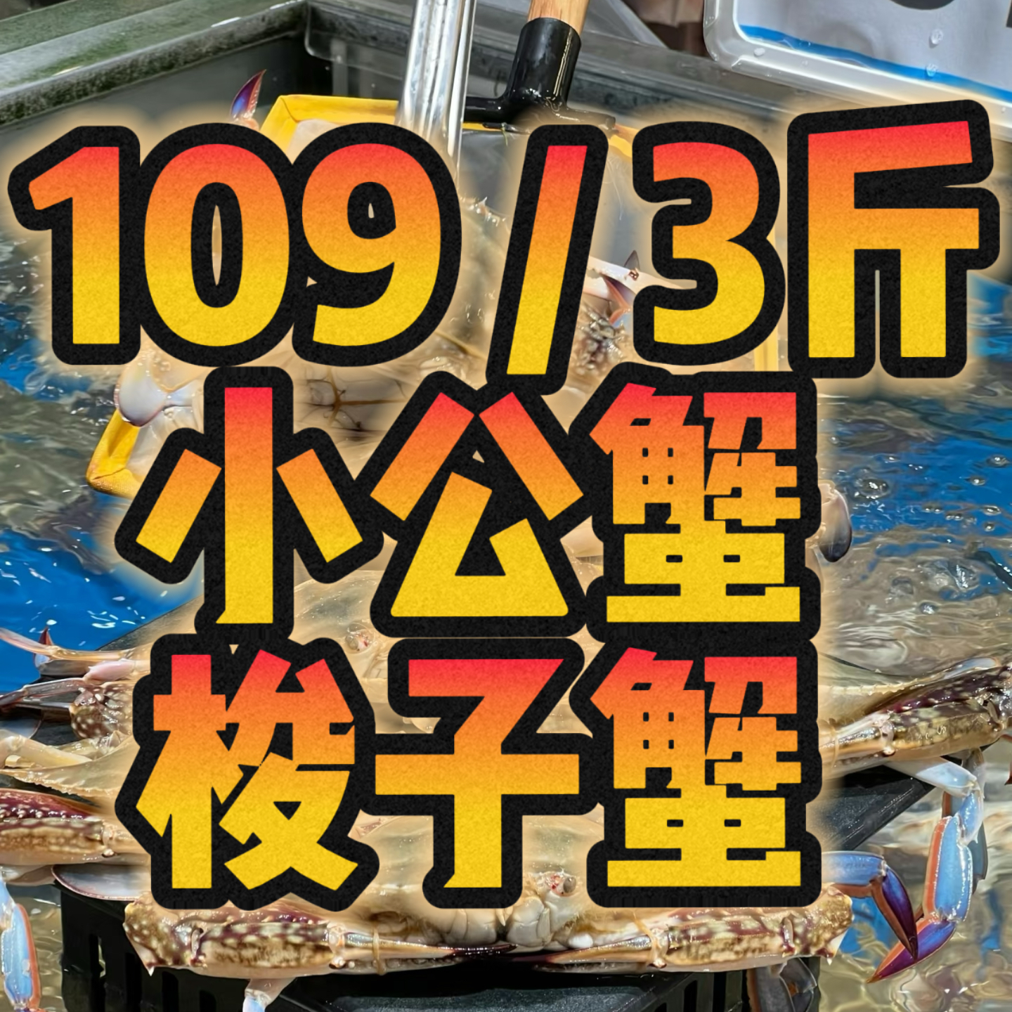 【保鲜不保活】余氏水产【109/3斤梭子蟹】一只3两左右小公蟹～【小时到家·保鲜不保活】