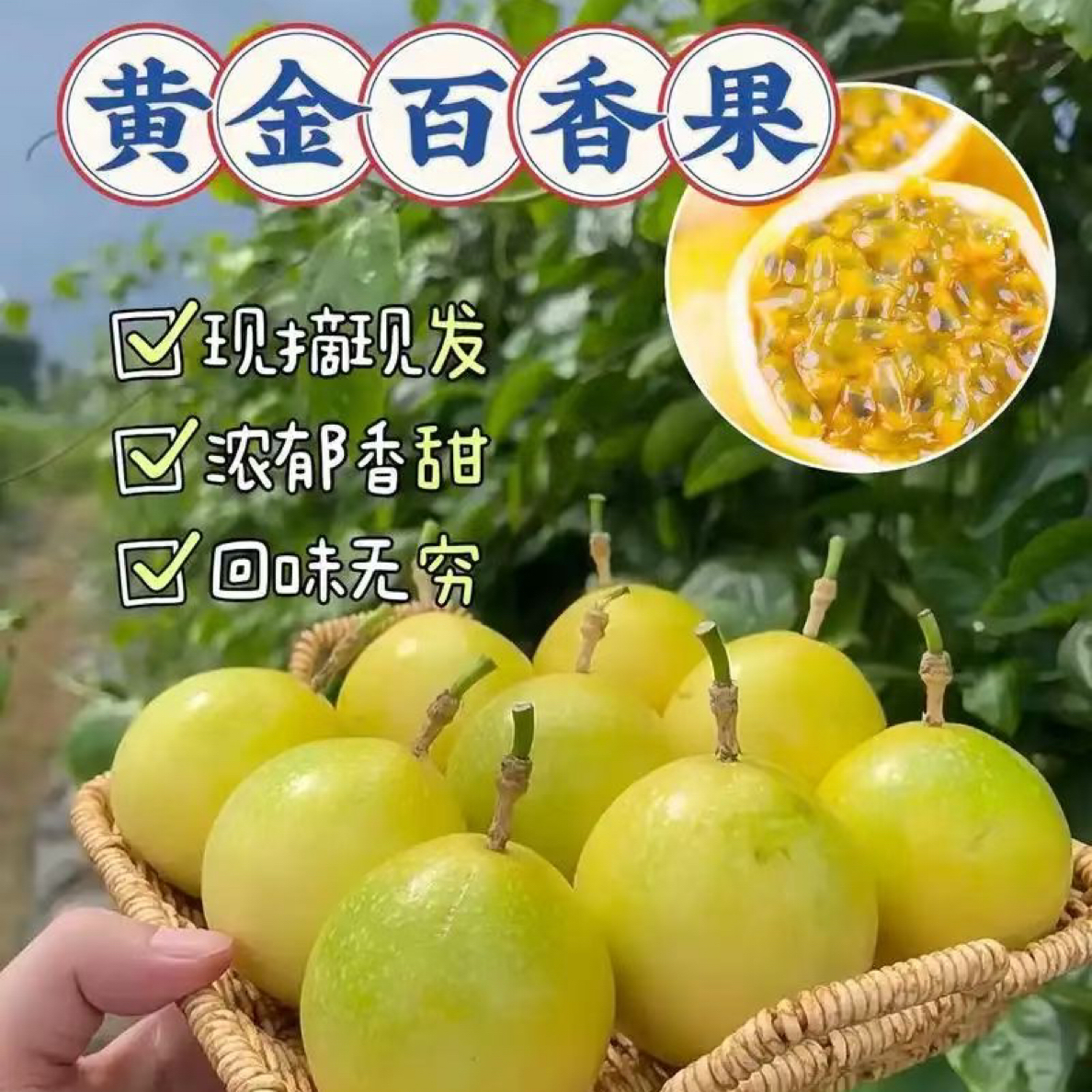 广西靖西自家果园新鲜当季钦蜜9号黄金百香果无酸饱满多汁富含维C