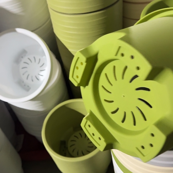 球根32口径5个无托果绿