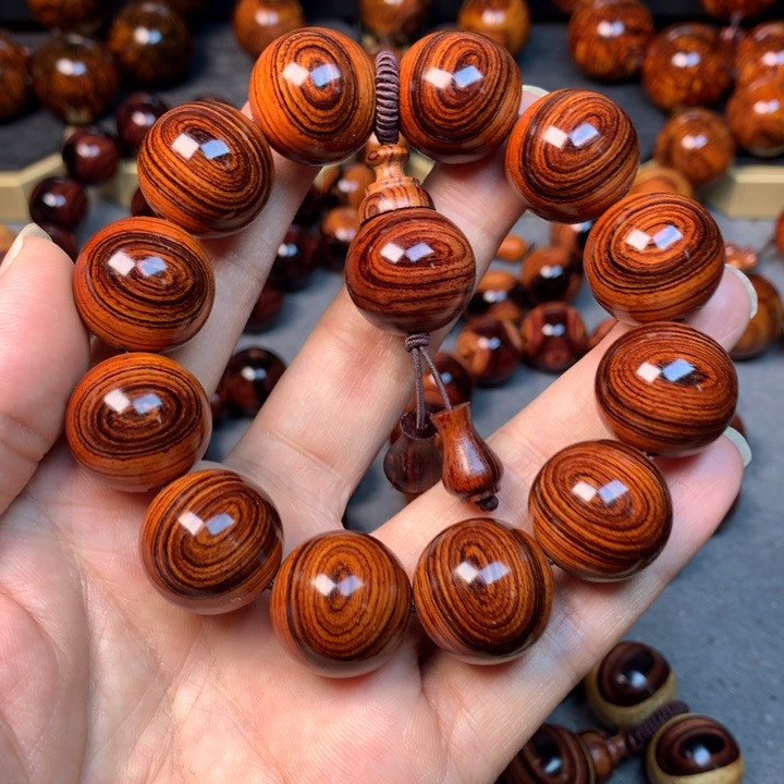 黄花梨/降香黄檀海南