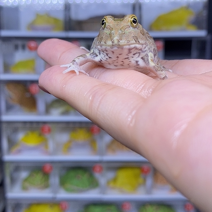 特价秒杀活动地址