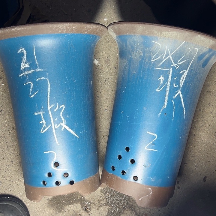 周深周深周深周深周深 