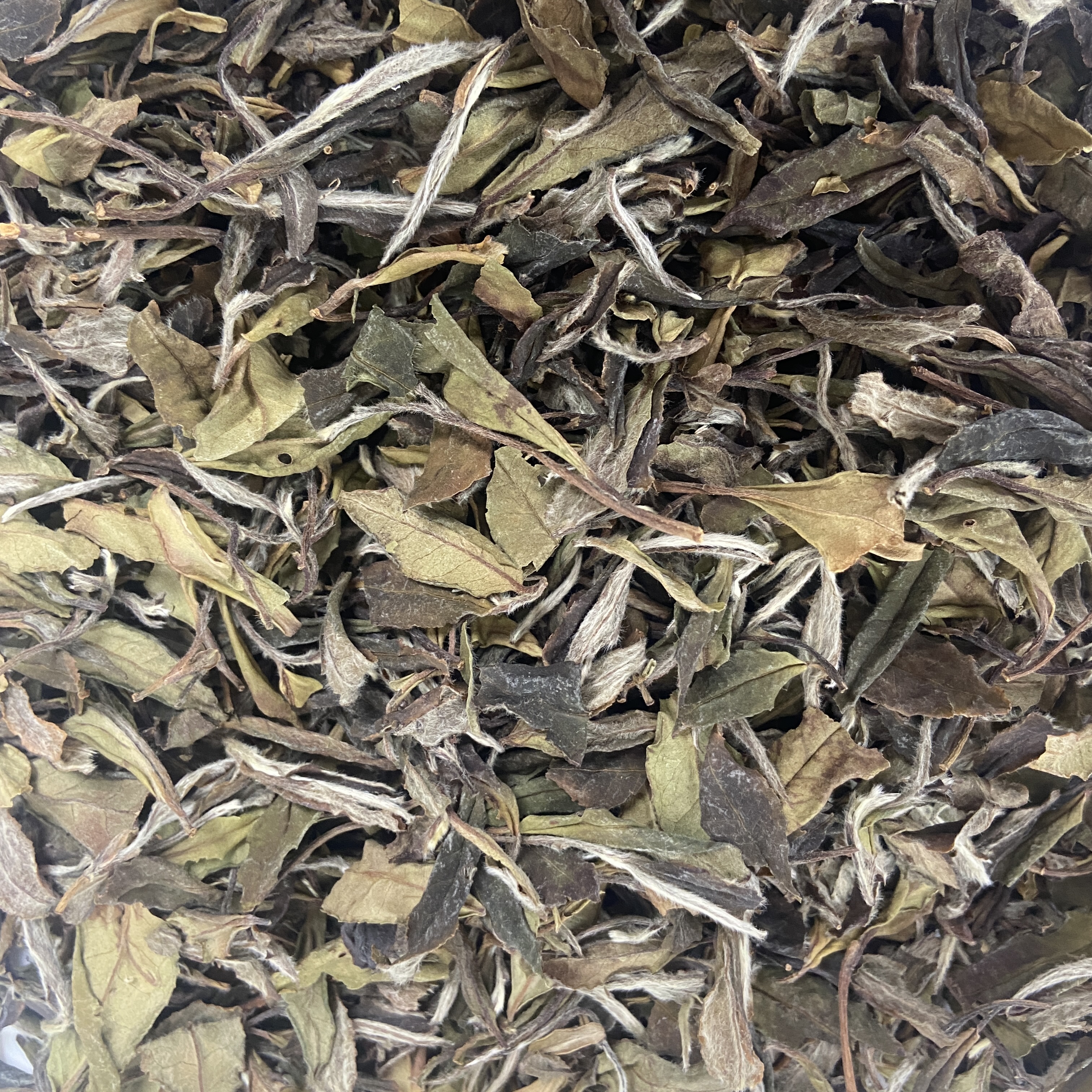 【臻玉严选】 方家山2020年私房茶 高级寿眉  福鼎白茶