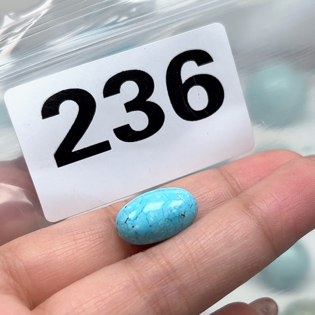 绿松石珠宝奇石未镶嵌鱼*余