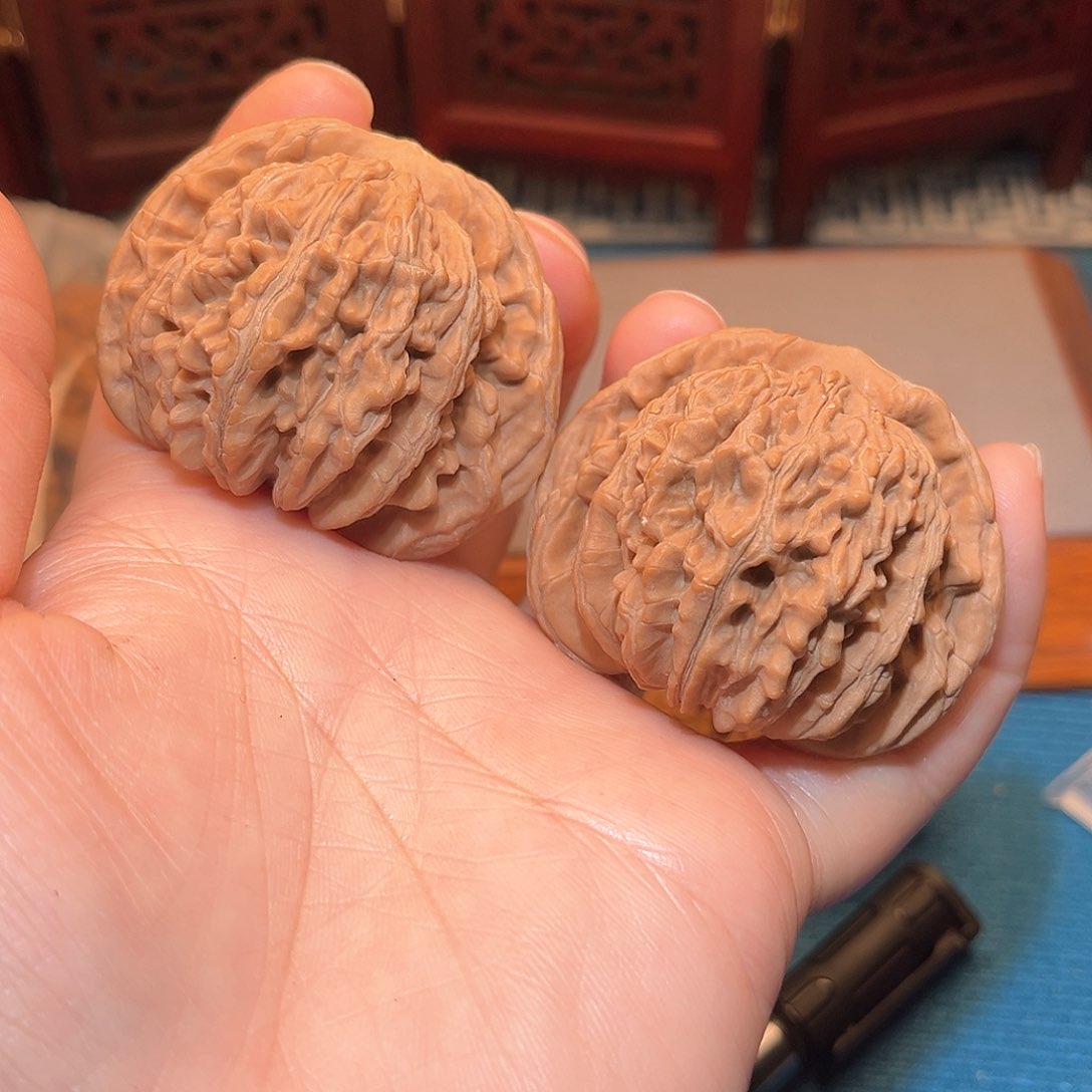 嗡*嗡48全品四座楼……福利