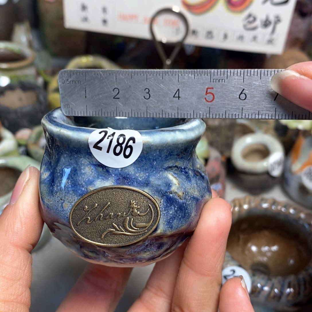 特价花盆拍5送一个小礼物