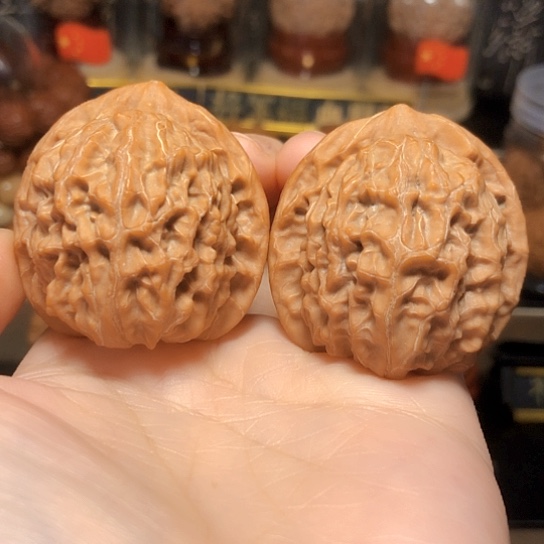 野生精品：金麒麟