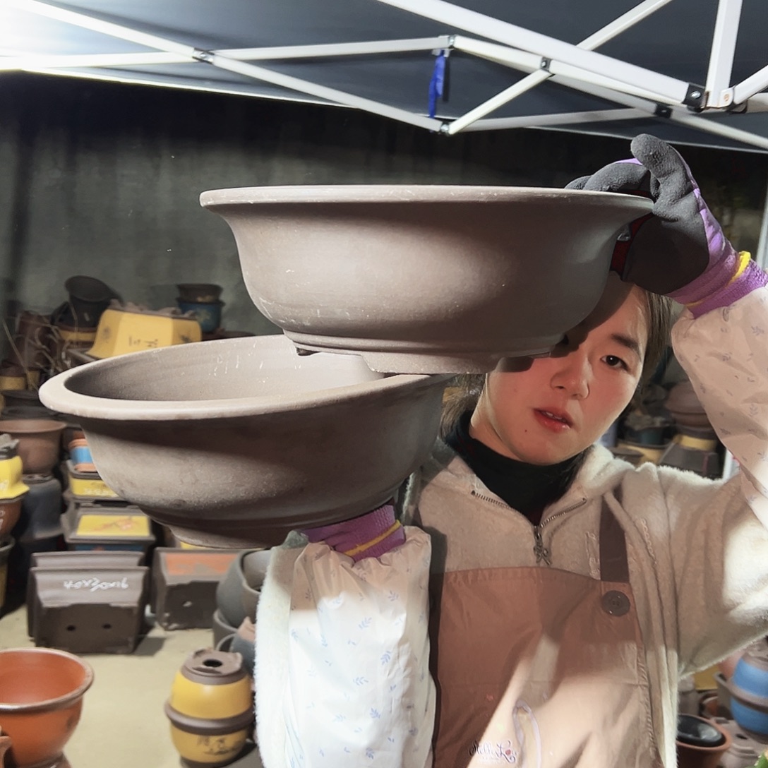 28+28紫泥碗盆花盆花盆花盆