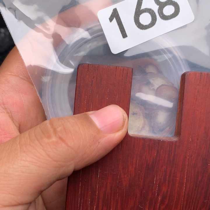 大果紫檀（缅甸花梨）