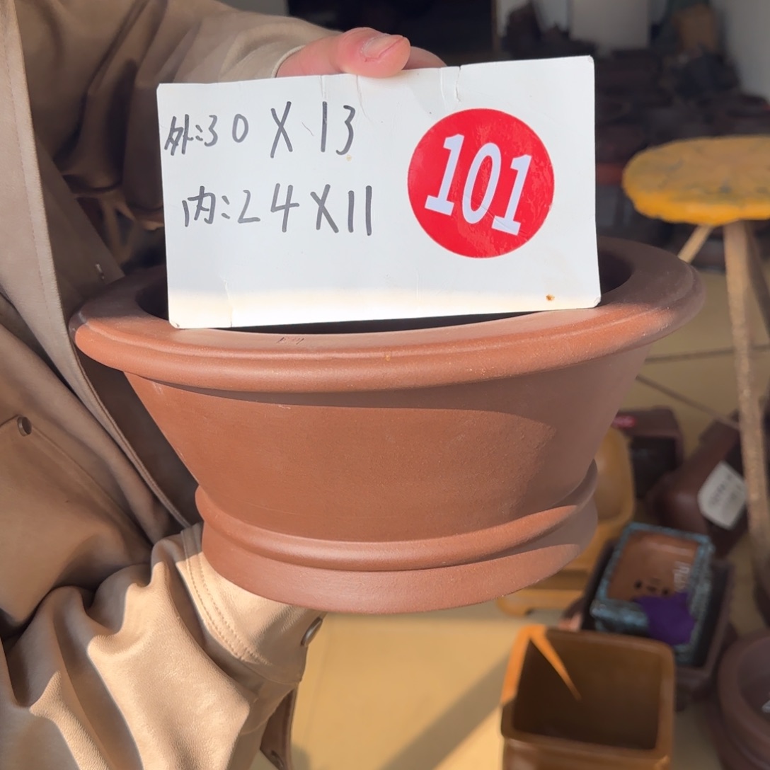 紫砂花盆呜呜呜呜