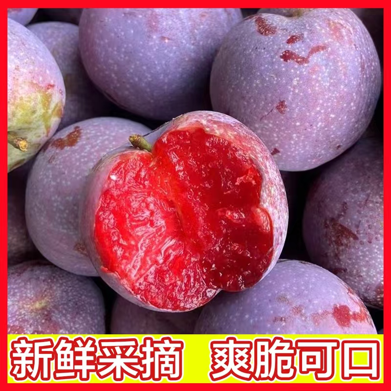1(现摘5斤装)正宗钱排三华李红心三华李酸甜脆爽只发精品果包邮