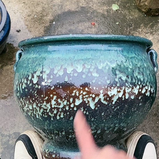 【闪购商品】紫砂花盆36.30花盆花盆