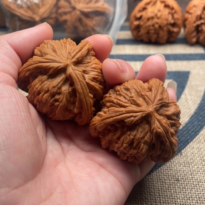 蜡***咘核桃白狮子43核桃