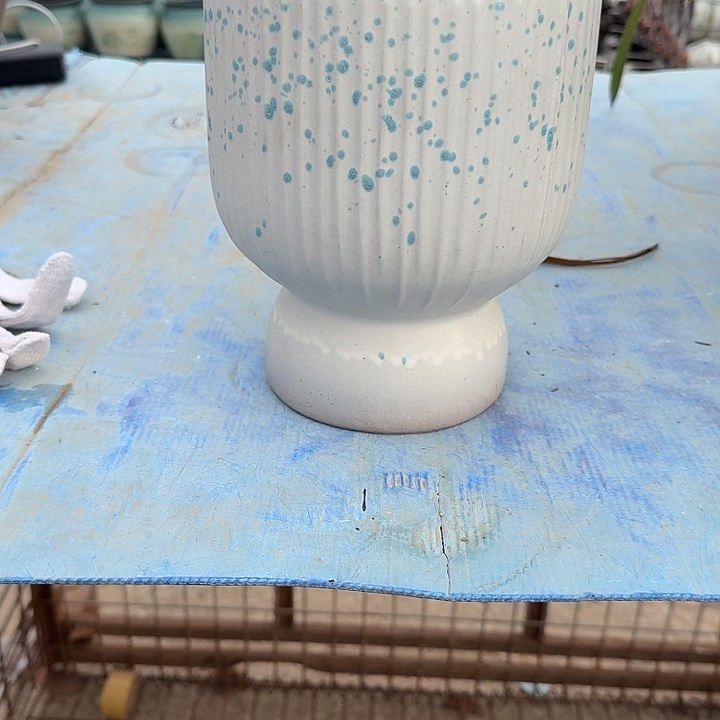 不***贝口径17高度21微瑕