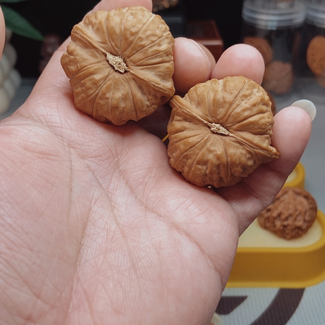 南瓜核桃手把件！！！