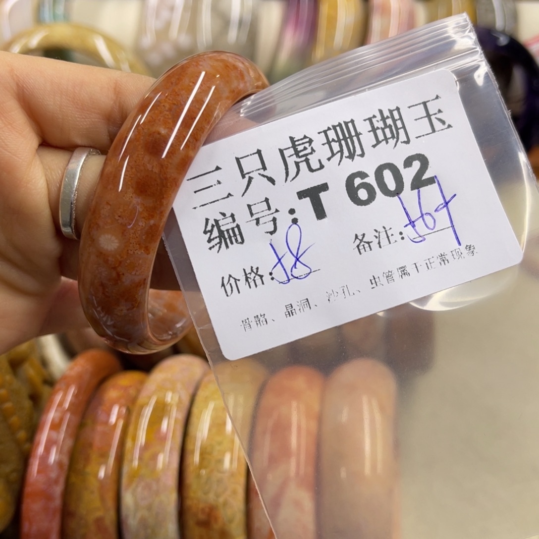 无***念硅化珊瑚（珊瑚玉）未镶嵌h