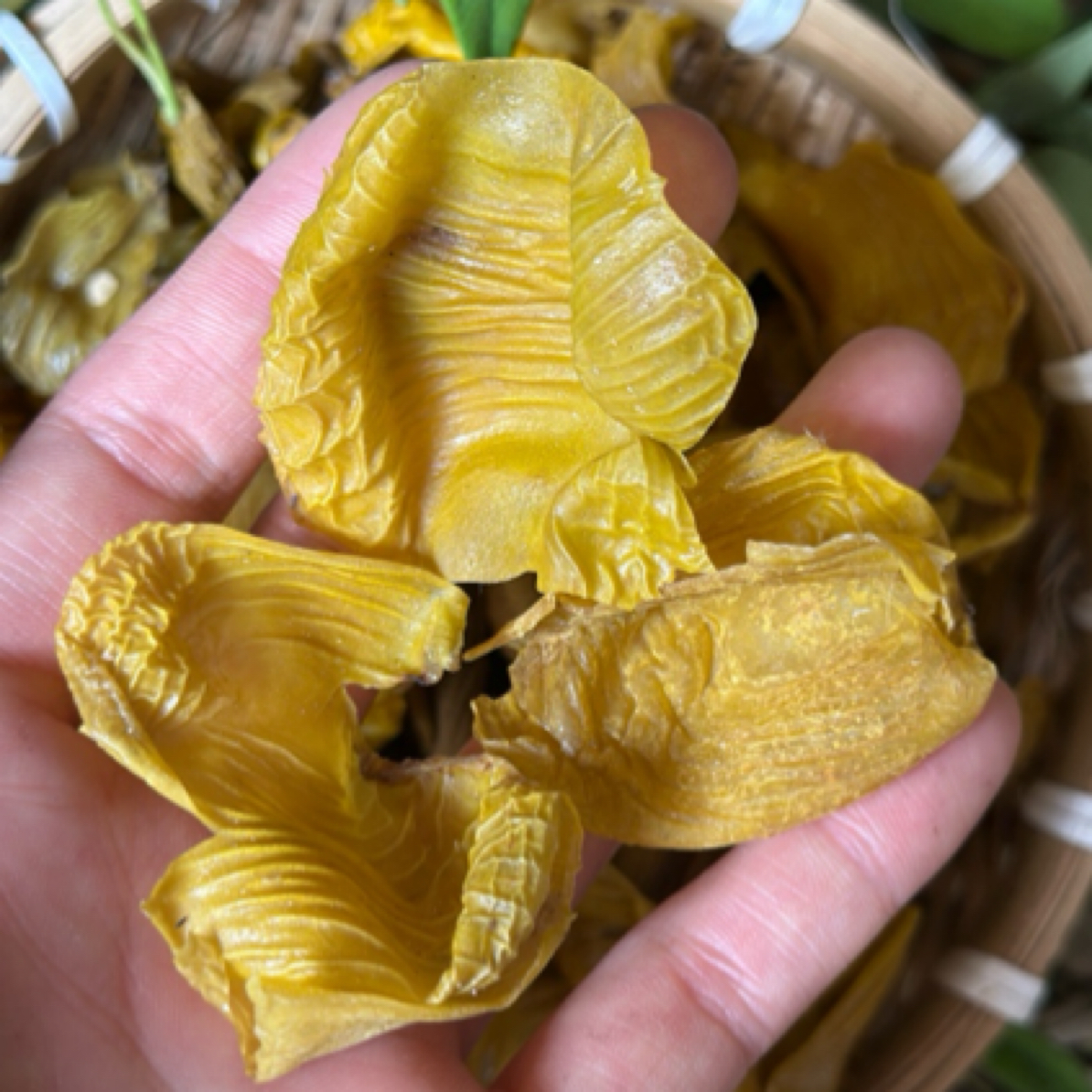 鸡内金 散养土鸡肾衣 干净无异味