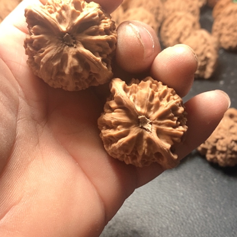 【闪购商品】炘*宫灯